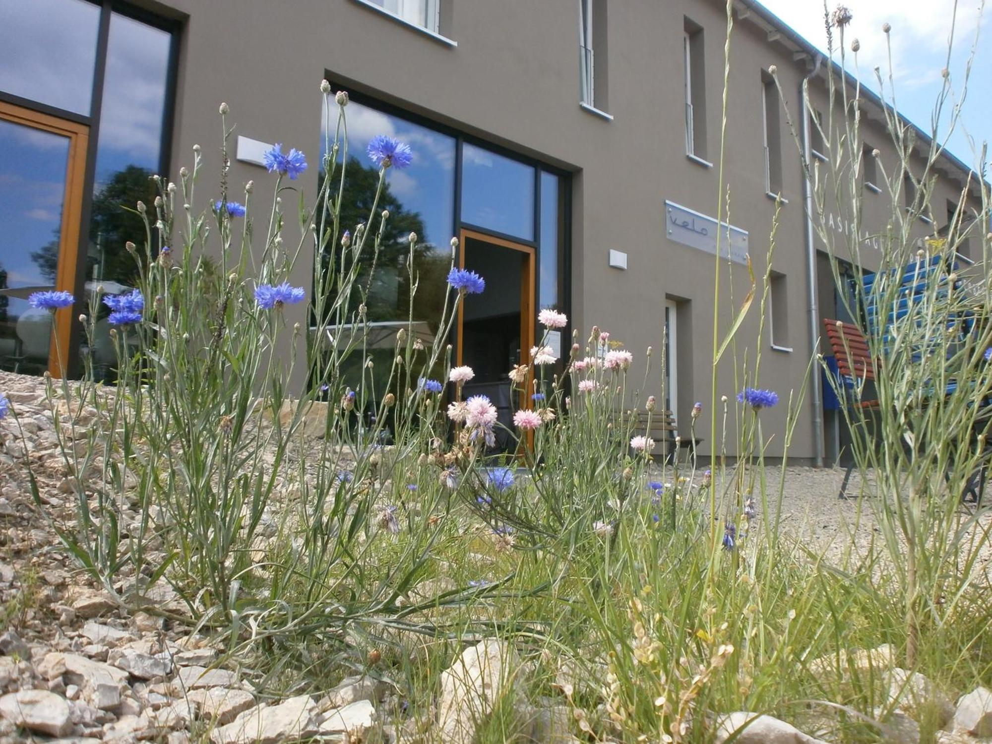 Velo Inn Basislager Bad Berka Exterior foto